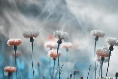 破解童子命，迎接人生新篇章的转机