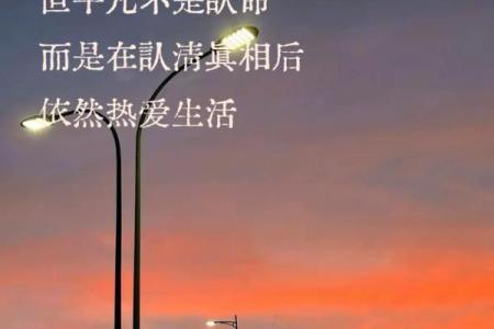 平凡如常：探寻命格的内涵与人生的美好