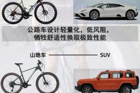 探寻土命车运：适合你的车型全解析！