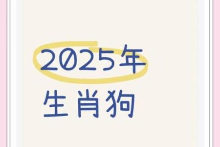 94年女属狗的命运分析与生活建议