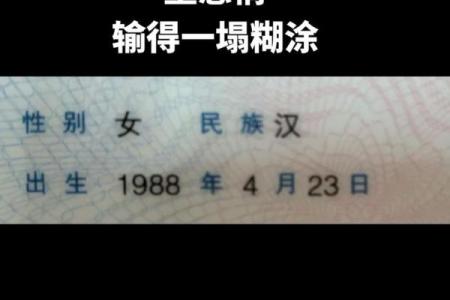 1988年属龙的命运解析：解读龙年的神秘力量与生活智慧