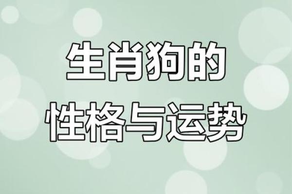 1949年出生的狗命，如何影响你的一生？揭秘生肖狗的命理与运势！