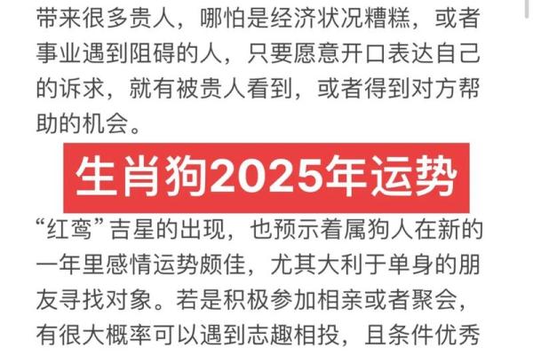 1949年出生的狗命，如何影响你的一生？揭秘生肖狗的命理与运势！