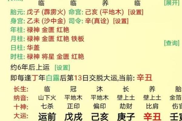 庚子时生人：命理分析与人生启示