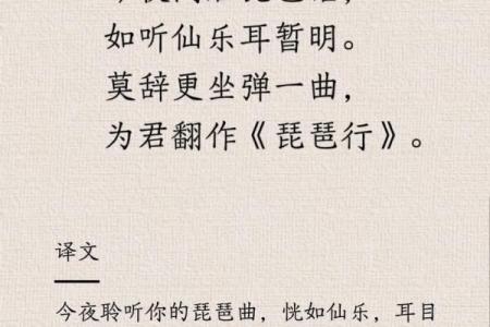 命似琵琶：探寻人生的韵味与命运的旋律