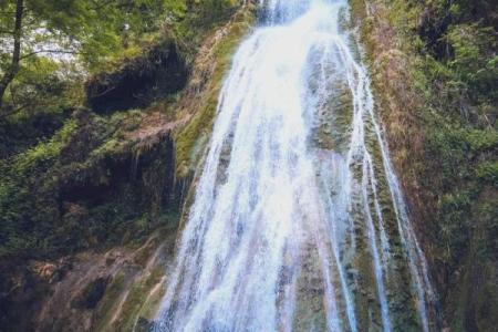 2004年：自然之水，灵动人生的奇幻旅程