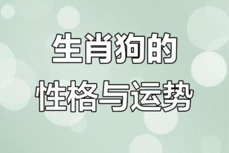 1949年出生的狗命，如何影响你的一生？揭秘生肖狗的命理与运势！