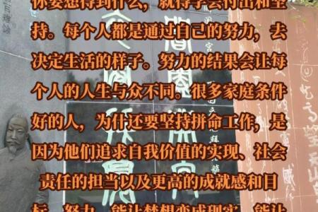 38岁那年出生的人命运分析与人生启示