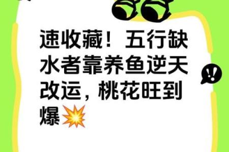 命里缺水，如何选择最佳行业助你事业腾飞