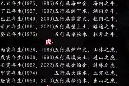 探索戊寅、甲寅和甲申命格的奥秘与人生启示