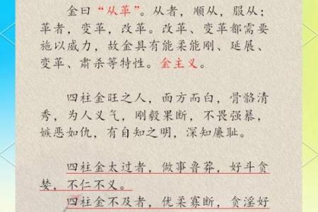 算五行命理，探索人生的奥秘与智慧