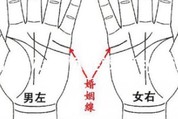 揭秘手相:看幸福命运的男生面相,助你找到真爱与成功! 揭秘手相:看幸福命运的男生面相,助你找到真爱与成功!