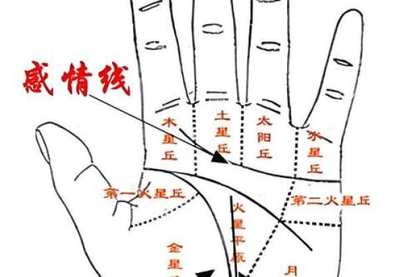 揭秘手相:看幸福命运的男生面相,助你找到真爱与成功! 揭秘手相:看幸福命运的男生面相,助你找到真爱与成功!