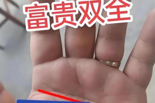 从手相看土豪命:哪些男人注定富贵荣华? 从手相看土豪命:哪些男人注定富贵荣华?