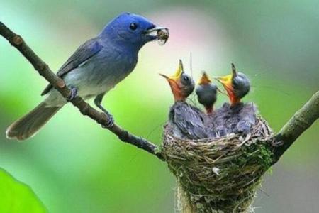 八八年冬月的命运解析：天时地利人和的探讨与思考