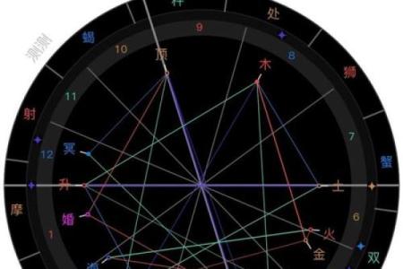 98年2月出生的命运：揭示你的性格与人生轨迹