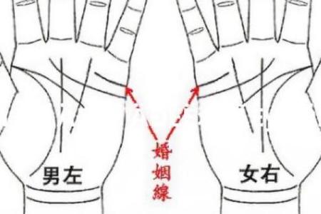 揭秘手相：看幸福命运的男生面相，助你找到真爱与成功！