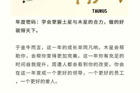 什么是小财之命女人：解析她们的财富运势与生活智慧