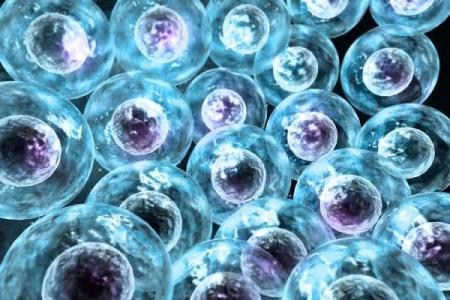 探索圆命：揭示命运与人生的奥秘之旅