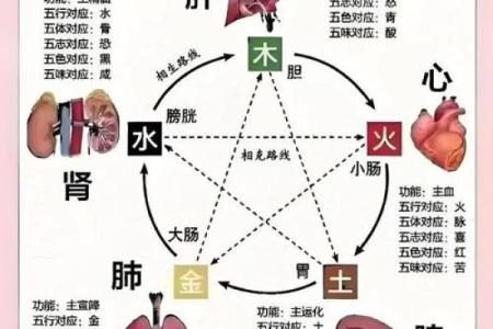 甲木生于春天，五行命理的深邃解析与启示