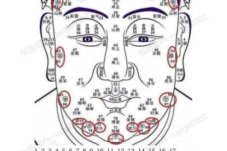 看相最准的人是什么命：揭秘相学中的命理奥秘