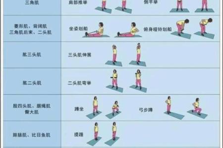 肌肉与健康：为何强壮的身体未必能延长寿命？