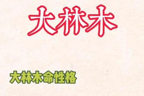 了解大林木命：生肖与命理的奇妙关系