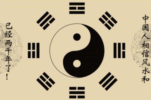 丙子癸巳己酉丁卯命理解析：命运的奥秘与人生的智慧