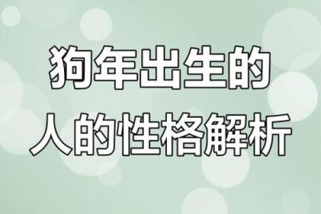 2017属狗之人命理解析：性格特点与未来运势展望