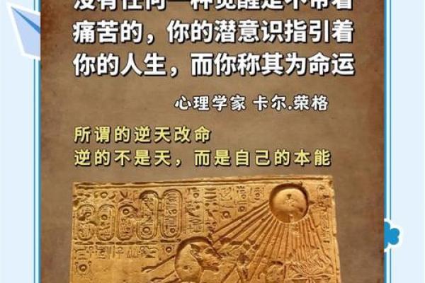 荣命解析：揭示荣命的深刻含义及其在生活中的应用