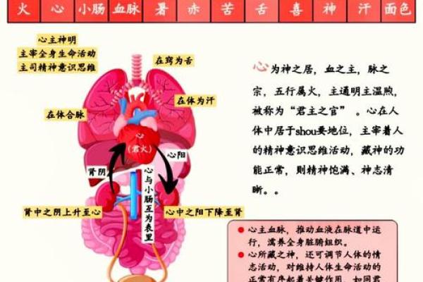 什么心，什么命：探索内心与命运的关系