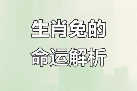 1985属兔的命运解析：如何把握人生机遇，实现自我价值