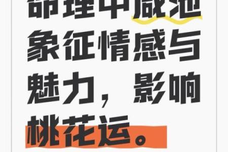 女命带咸池桃花，适合什么样的男命？深度解析！