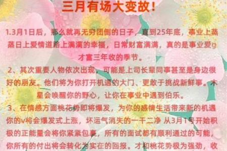 揭开2006年属狗之命的神秘面纱：从五行看人生运势