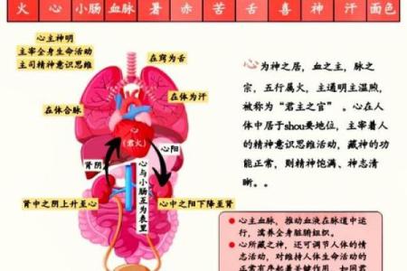 什么心，什么命：探索内心与命运的关系