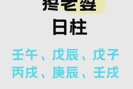 庚申年年柱命：探索你的命运与坐骑的深层联系