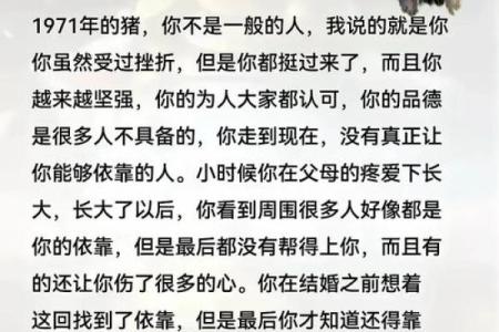 属猪凌晨出生的人命运揭秘：性格特点与未来发展之路