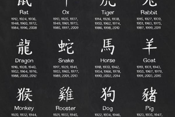 属猪的四命解析：如何选择最佳命格，让你的人生更美好！