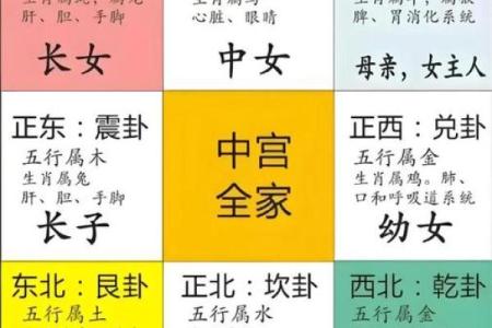 解密62什么命：五行属什么的深度解析与探索