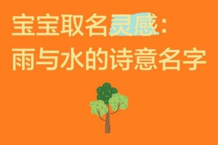 用水起名，给生命注入流动的灵感与力量