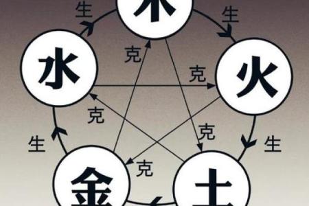 命理学的魅力：探索五行与阴阳的奥秘之旅