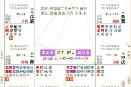 解析1977年男命的五行八卦，探寻命运的奥秘与人生之路