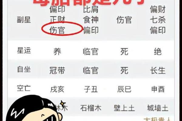 男命与女命的判断：从八字看性别特征