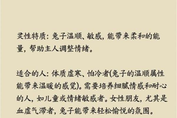 属狗土命的人适合怎样的颜色？探索五行与命理的秘密！
