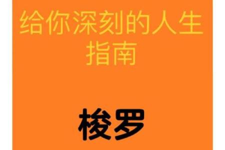 命曰天放：寻找内心自由的哲学之旅