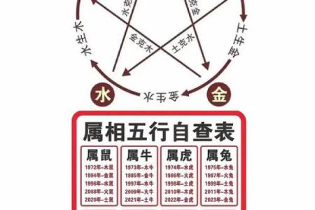 1966年属什么水命：解密生肖与五行相生的奥秘