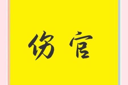 伤官人最看重的命运：才华与成就的追求之路
