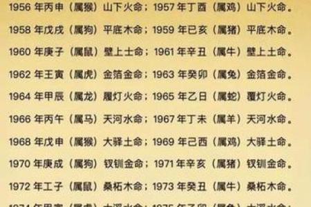 属狗土命的人适合怎样的颜色？探索五行与命理的秘密！