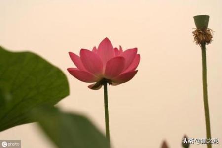 吴应熊：一个智慧与坚持交织的名字