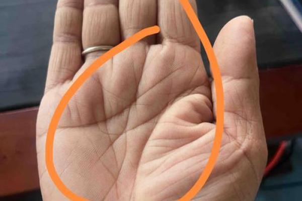 揭秘富贵手纹：哪些手纹的人注定财运亨通？